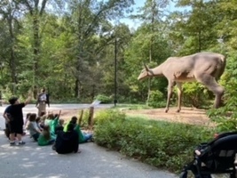 4th grade at Crystal Bridges