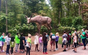 My School, My Museum Program Returns to Crystal Bridges