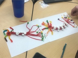 AP Psychology Neurons and Bio Psyc